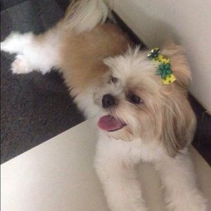 Meet your Posher, Patricia